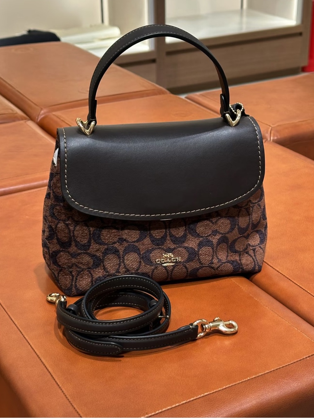NWT Coach Emory Top Handle Bag
In Signature Chenille